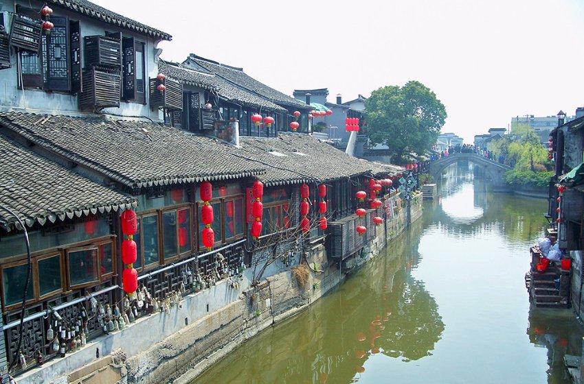 动物帮帮忙保卫家园